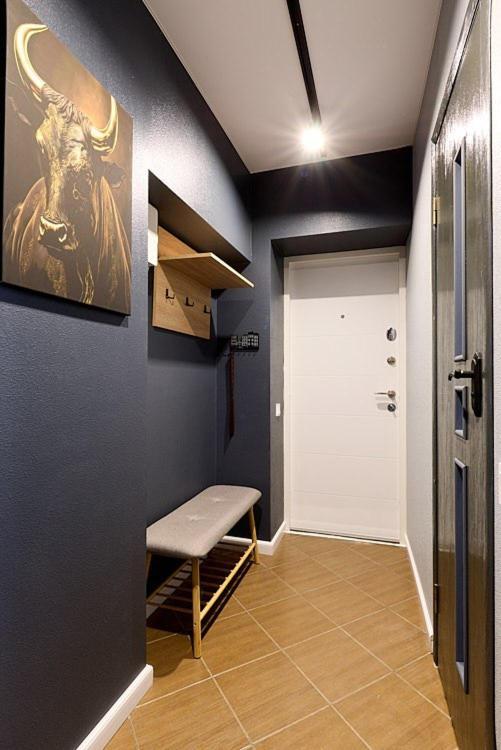 Apartment 24 Mezhygirska Str 24, In Historical Parts, Podil *